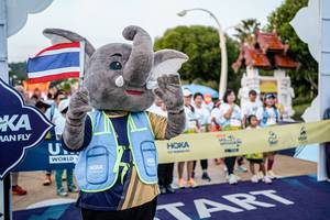 BIB: 
                            <button type="button" onclick="openModal(22790284)" class="btn btn-primary btn-sm float-right btn-popup" data-toggle="modal" data-target=".modal-high-quality">
                        <i class="fas fa-shopping-cart"></i> Add to Cart
                    </button>
                                            <button type="button" onclick="isThisMe(22790284, true)" class="btn btn-success btn-sm float-right btn-popup btn-isme hidden" data-toggle="tooltip" data-placement="bottom" title="นี่คือรูปของคุณใช่ไหม คลิกที่นี่เพื่อเอาเข้าอัลบั้ม">
                        <i class="fas fa-plus"></i> Add to album
                    </button>
                    <button type="button" onclick="isThisMe(22790284, false)" class="btn btn-warning btn-sm float-right btn-popup btn-isnotme hidden">
                        <i class="fas fa-ban"></i> Remove from album
                    </button>